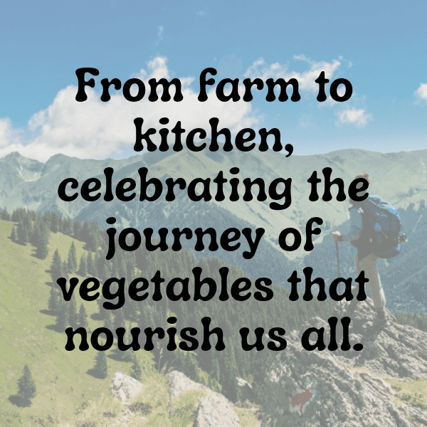 205+ Chayote Captions For Instagram (Trending, Funny & Top) 9 Chayote Captions Photo For Instagram-BW4kG3