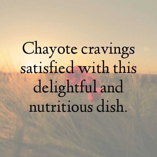 205+ Chayote Captions For Instagram (Trending, Funny & Top) 5 Chayote Captions Photo For Instagram-QIqvyW