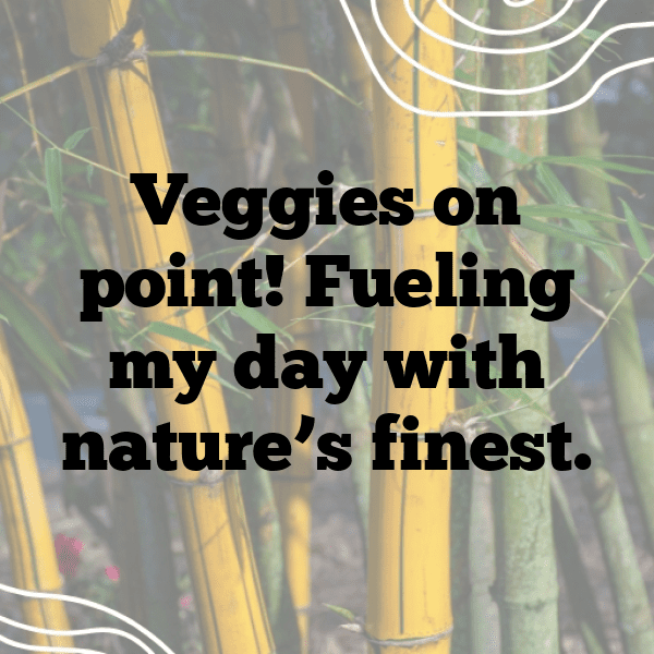 205+ Chayote Captions For Instagram (Trending, Funny & Top) 10 Chayote Captions Photo For Instagram-Uw5jHv