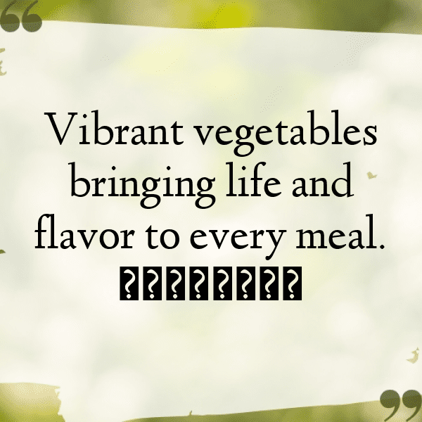 205+ Chayote Captions For Instagram (Trending, Funny & Top) 11 Chayote Captions Photo For Instagram-YFWO3M