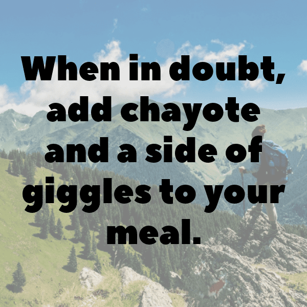 205+ Chayote Captions For Instagram (Trending, Funny & Top) 6 Chayote Captions Photo For Instagram-YuYAIh