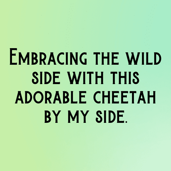 Cheetah Captions Photo For Instagram-UKuQDv