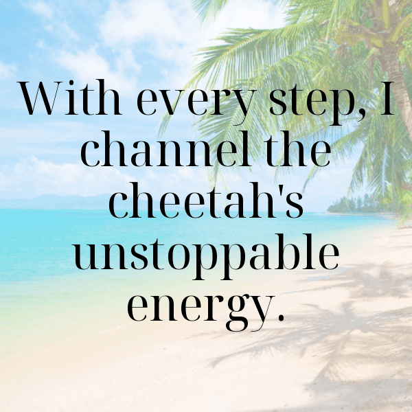 Cheetah Captions Photo For Instagram-X6mT1X