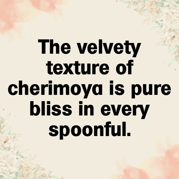 208+ Cherimoya Captions For Instagram (Fresh & Trendy) 5 Cherimoya Captions Image For Instagram-8ettCB