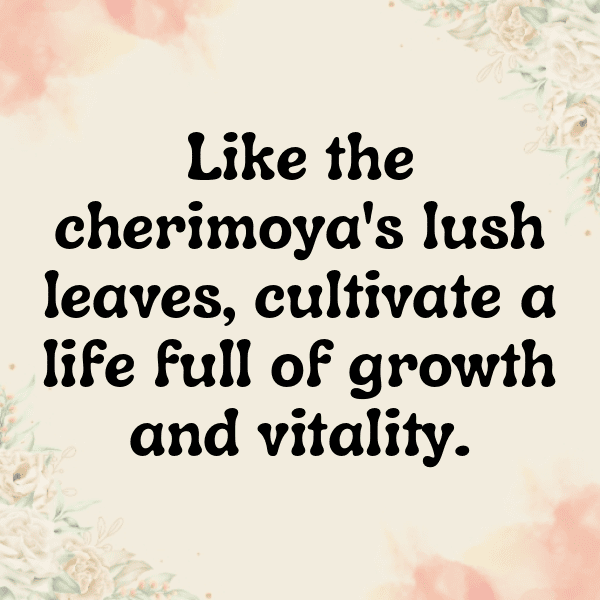 208+ Cherimoya Captions For Instagram (Fresh & Trendy) 6 Cherimoya Captions Image For Instagram-INmaFW