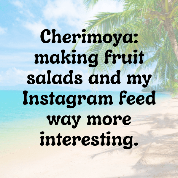 208+ Cherimoya Captions For Instagram (Fresh & Trendy) 3 Cherimoya Captions Image For Instagram-VXHVQi