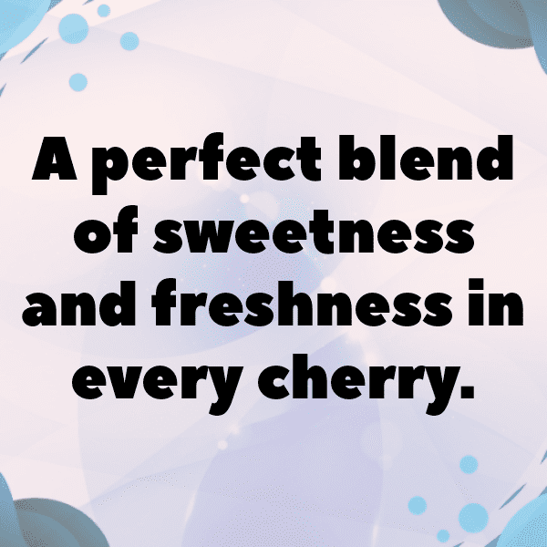 242+ Cherry Captions For Instagram In 2025 16 Cherry Captions Photo For Instagram-jBBmck