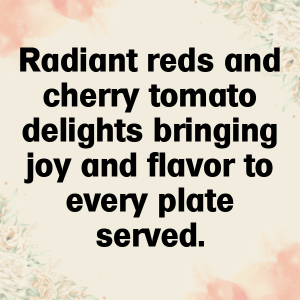Cherry Tomato Captions Photo For Instagram-jZgEus