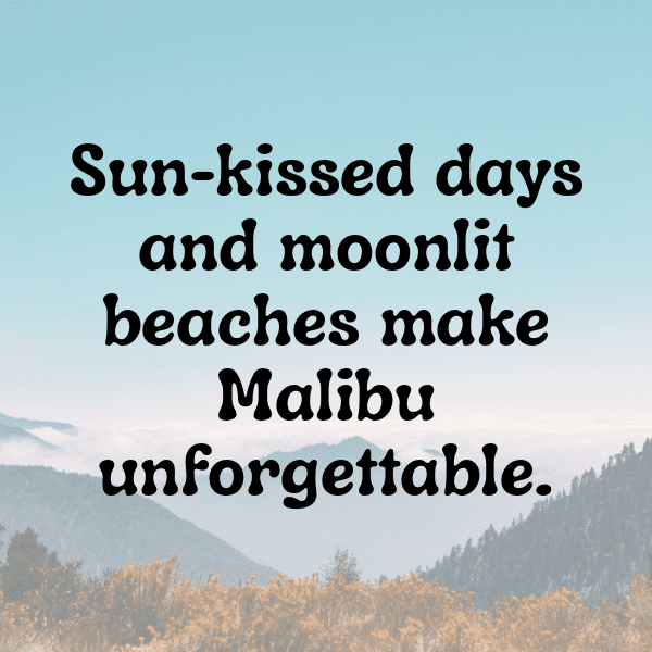 333+ Chevrolet Malibu Captions for Instagram (Fresh & Trendy) 6 Chevrolet Malibu Captions Image for Instagram-BvZvsy