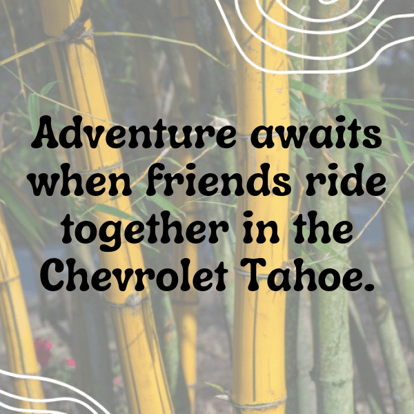 Chevrolet Tahoe Captions Photo for Instagram-SSBCz9