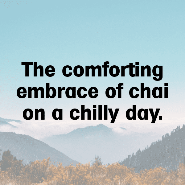 208+ Chia Captions For Instagram (Short, Trending & Viral) 5 Chia Captions Photo For Instagram-aD4qfD