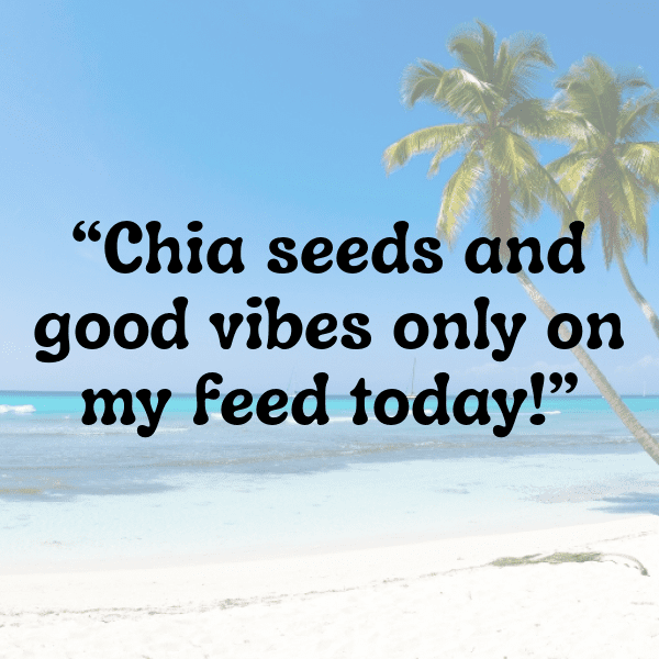 208+ Chia Captions For Instagram (Short, Trending & Viral) 3 Chia Captions Photo For Instagram-GGWJc8