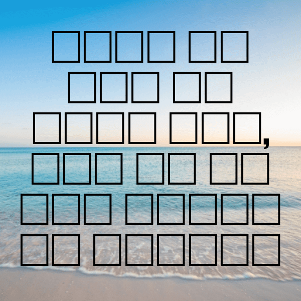 208+ Chia Captions For Instagram (Short, Trending & Viral) 7 Chia Captions Photo For Instagram-ImgirU