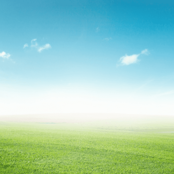 208+ Chia Captions For Instagram (Short, Trending & Viral) 8 Chia Captions Photo For Instagram-NPUnkg