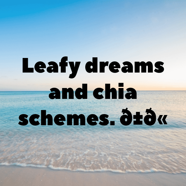 208+ Chia Captions For Instagram (Short, Trending & Viral) 4 Chia Captions Photo For Instagram-PycZ2f