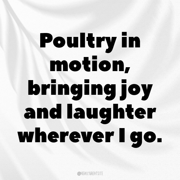 Chicken Captions Image For Instagram-8e7vGL