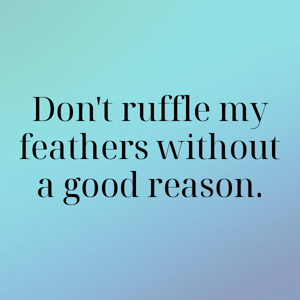 Chicken Captions Image For Instagram-QsdASa