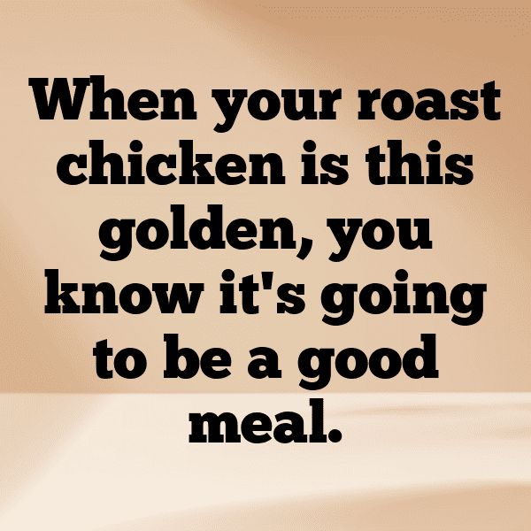252+ Chicken Captions For Instagram (Best, Funny & Short) 17 Chicken Captions Photo For Instagram-Y1WBEb