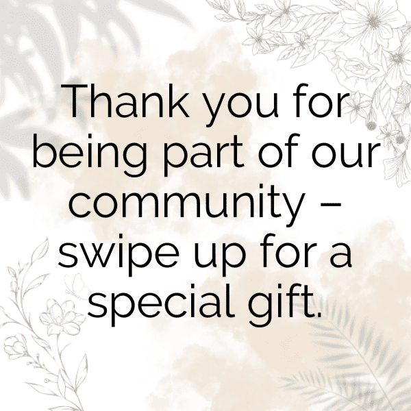 244+ Chicory Captions For Instagram (Best, Funny & Short) 4 Chicory Captions Photo For Instagram-fs29Ri