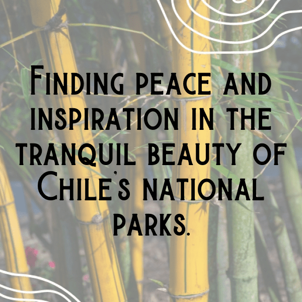 Chile Captions Image For Instagram-YrlKgH