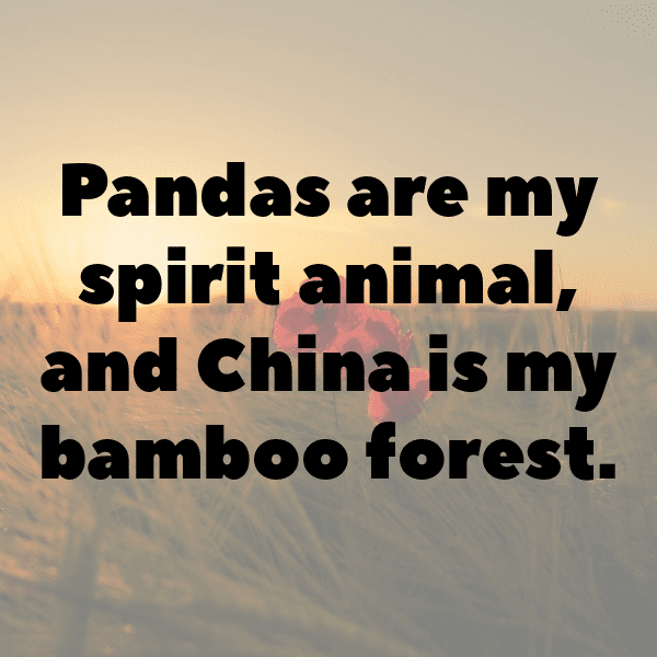 335+ China Captions For Instagram (Short, Trending & Viral) 13 China Captions Image For Instagram-fHVGF2