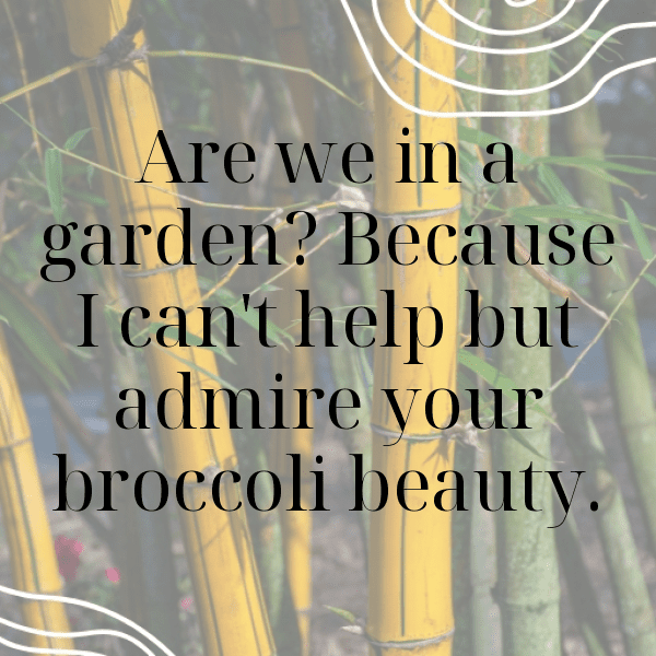 226+ Chinese Broccoli Captions For Instagram (Short, Trending & Viral) 7 Chinese Broccoli Captions Image For Instagram-I5P8i1