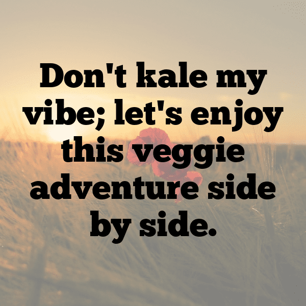 226+ Chinese Broccoli Captions For Instagram (Short, Trending & Viral) 9 Chinese Broccoli Captions Photo For Instagram-4DP04S