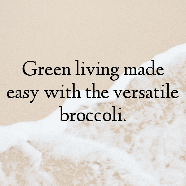 226+ Chinese Broccoli Captions For Instagram (Short, Trending & Viral) 3 Chinese Broccoli Captions Photo For Instagram-BO04wn