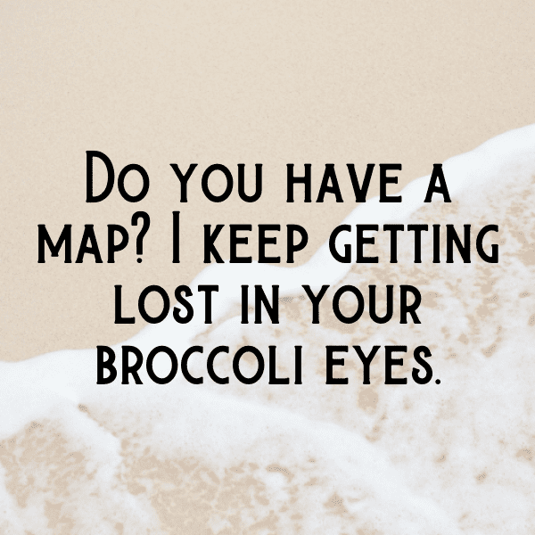 226+ Chinese Broccoli Captions For Instagram (Short, Trending & Viral) 6 Chinese Broccoli Captions Photo For Instagram-RhLAhS