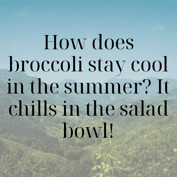 226+ Chinese Broccoli Captions For Instagram (Short, Trending & Viral) 4 Chinese Broccoli Captions Photo For Instagram-ZDKL0Q