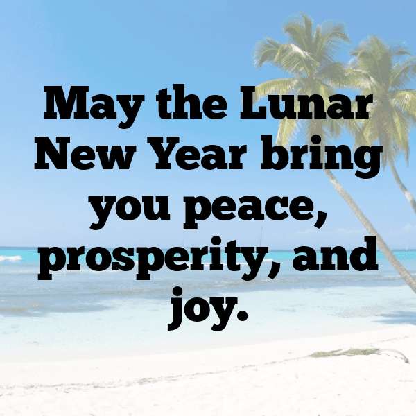 252+ Chinese New Year Captions for Instagram (Fresh & Trendy) 17 Chinese New Year Captions Photo for Instagram-3CHnzb