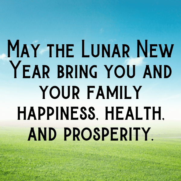 252+ Chinese New Year Captions for Instagram (Fresh & Trendy) 11 Chinese New Year Captions Photo for Instagram-j5qFiR