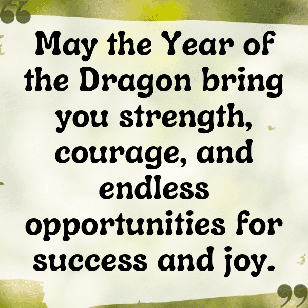 252+ Chinese New Year Captions for Instagram (Fresh & Trendy) 15 Chinese New Year Captions Photo for Instagram-sWLyYR