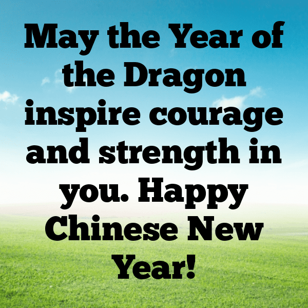 252+ Chinese New Year Captions for Instagram (Fresh & Trendy) 13 Chinese New Year Captions Photo for Instagram-ZHV1JF