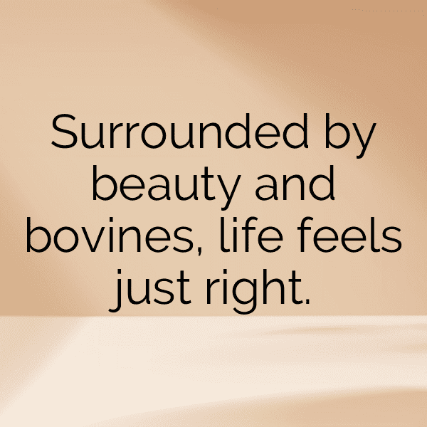 348+ Chipmunk Captions For Instagram In 2025 14 Chipmunk Captions Image For Instagram-7FSRLO