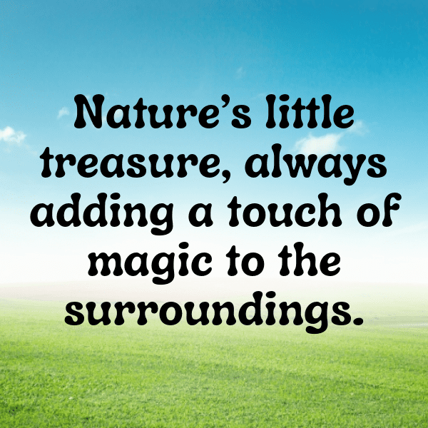 348+ Chipmunk Captions For Instagram In 2025 7 Chipmunk Captions Image For Instagram-tI0Fk2