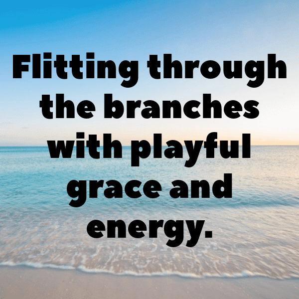 348+ Chipmunk Captions For Instagram In 2025 17 Chipmunk Captions Image For Instagram-WN8dWk