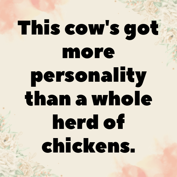 348+ Chipmunk Captions For Instagram In 2025 16 Chipmunk Captions Photo For Instagram-3XdXeU