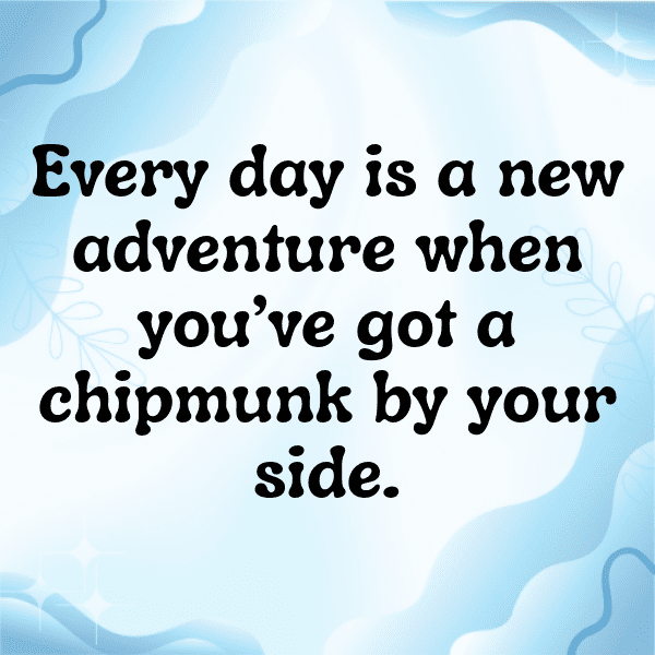 348+ Chipmunk Captions For Instagram In 2025 11 Chipmunk Captions Photo For Instagram-4sJdXj