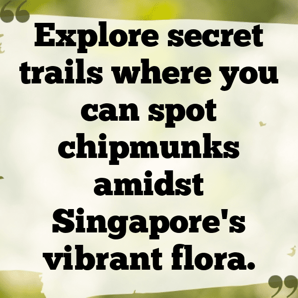 348+ Chipmunk Captions For Instagram In 2025 12 Chipmunk Captions Photo For Instagram-A9XASh