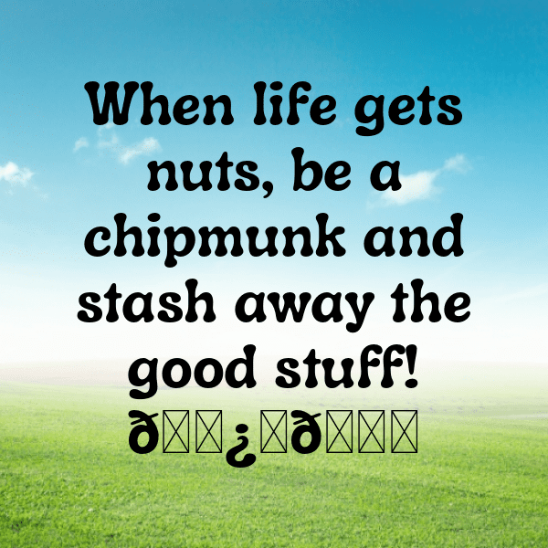 348+ Chipmunk Captions For Instagram In 2025 9 Chipmunk Captions Photo For Instagram-ACOmTw