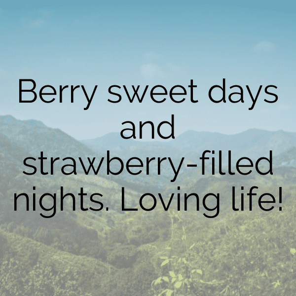 317+ Chokeberry Captions For Instagram In 2025 6 Chokeberry Captions Image For Instagram-YDEPu3