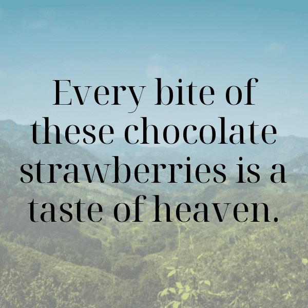 317+ Chokeberry Captions For Instagram In 2025 7 Chokeberry Captions Photo For Instagram-NaeIed