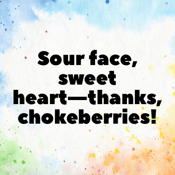 317+ Chokeberry Captions For Instagram In 2025 5 Chokeberry Captions Photo For Instagram-uHg2tt