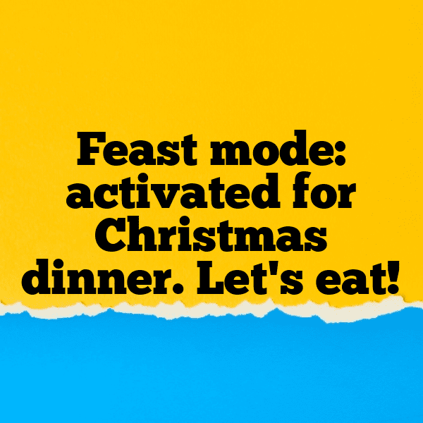 251+ Christmas Captions for Instagram (Trending, Funny & Top) 16 Christmas Captions Image for Instagram-Tm9PeI