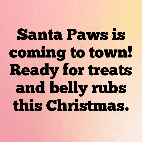 251+ Christmas Captions for Instagram (Trending, Funny & Top) 19 Christmas Captions Image for Instagram-UVPvhA