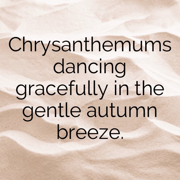 321+ Chrysanthemum Captions For Instagram (Trending, Funny & Top) 16 Chrysanthemum Captions Image For Instagram-GqFiCh