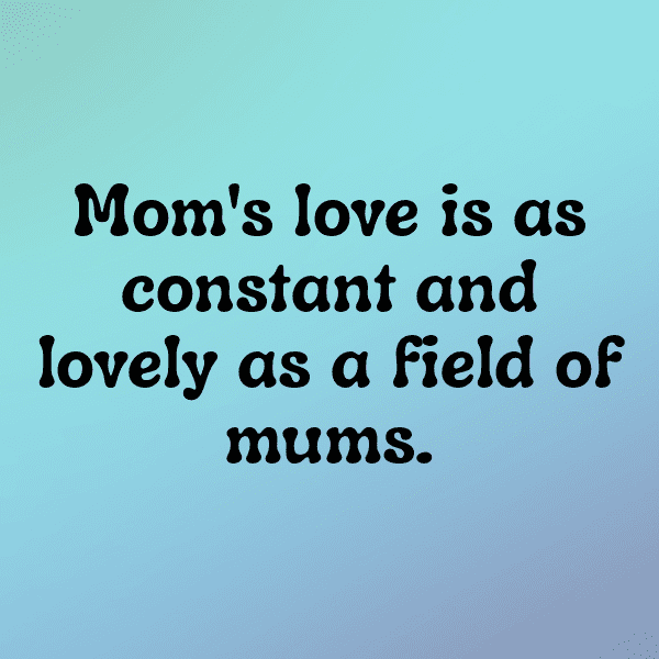 321+ Chrysanthemum Captions For Instagram (Trending, Funny & Top) 15 Chrysanthemum Captions Image For Instagram-jqP260