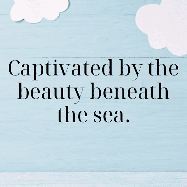 225+ Clam Captions For Instagram In 2025 14 Clam Captions Photo For Instagram-wWnXUY