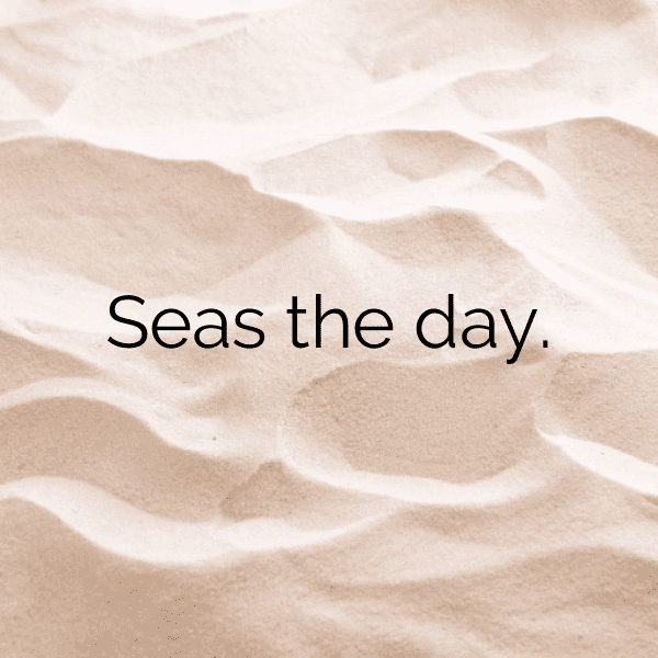 225+ Clam Captions For Instagram In 2025 4 Clam Captions Photo For Instagram-YBa7hr